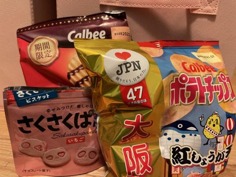 Calbee chips and Sakusaku Panda Cookies are some of the snacks that can be found in a Tokyo Treat subscription box. Photo courtesy of Brittany Eldridge